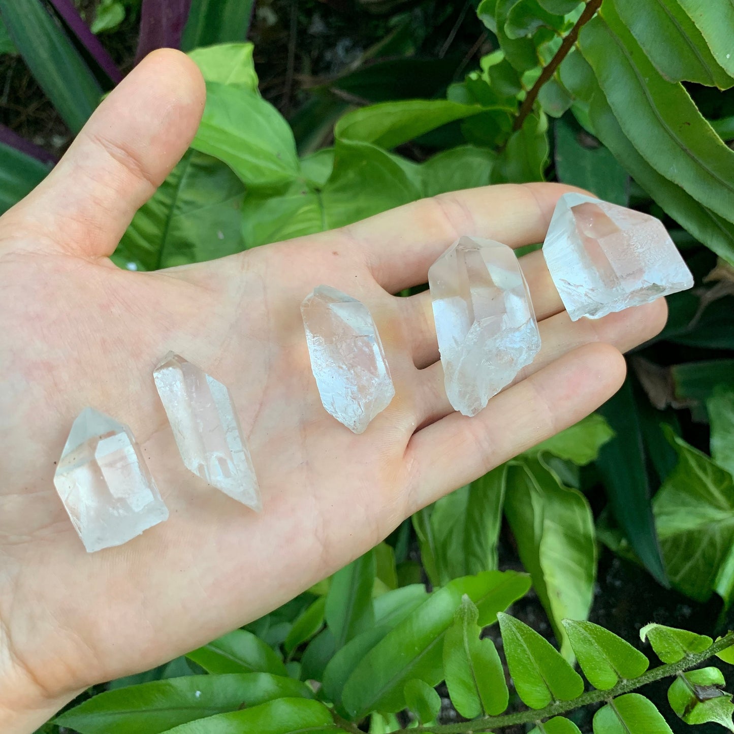 Natural light view of a Clear Quartz raw point, Brazil-sourced.