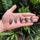 Detail shot of Grade AA Dragon Bloodstone tumbled stone under natural light