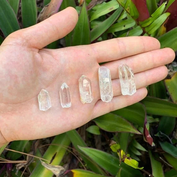 Alternate side of Lemurian Quartz raw point, showing natural color depth.