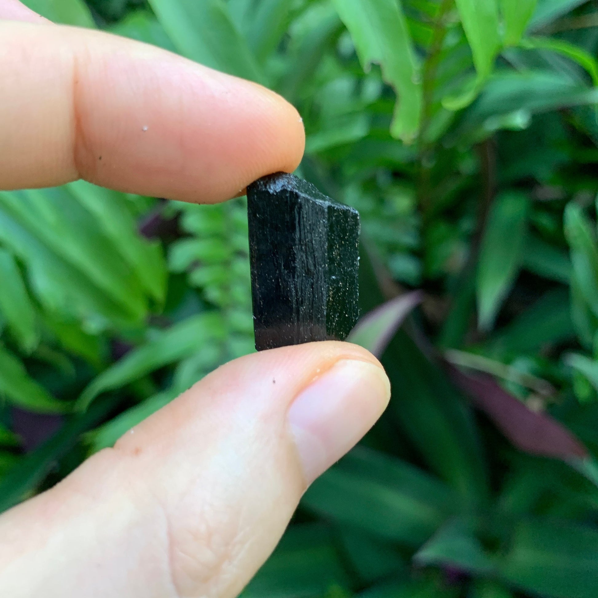 Grade aa black tourmaline raw held in hand for size reference