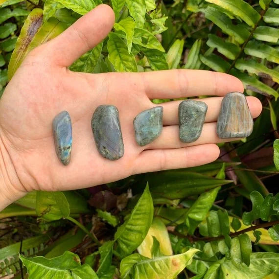 Full profile of Grade AA Labradorite tumbled stone ready to ship from Beyond Bohemian