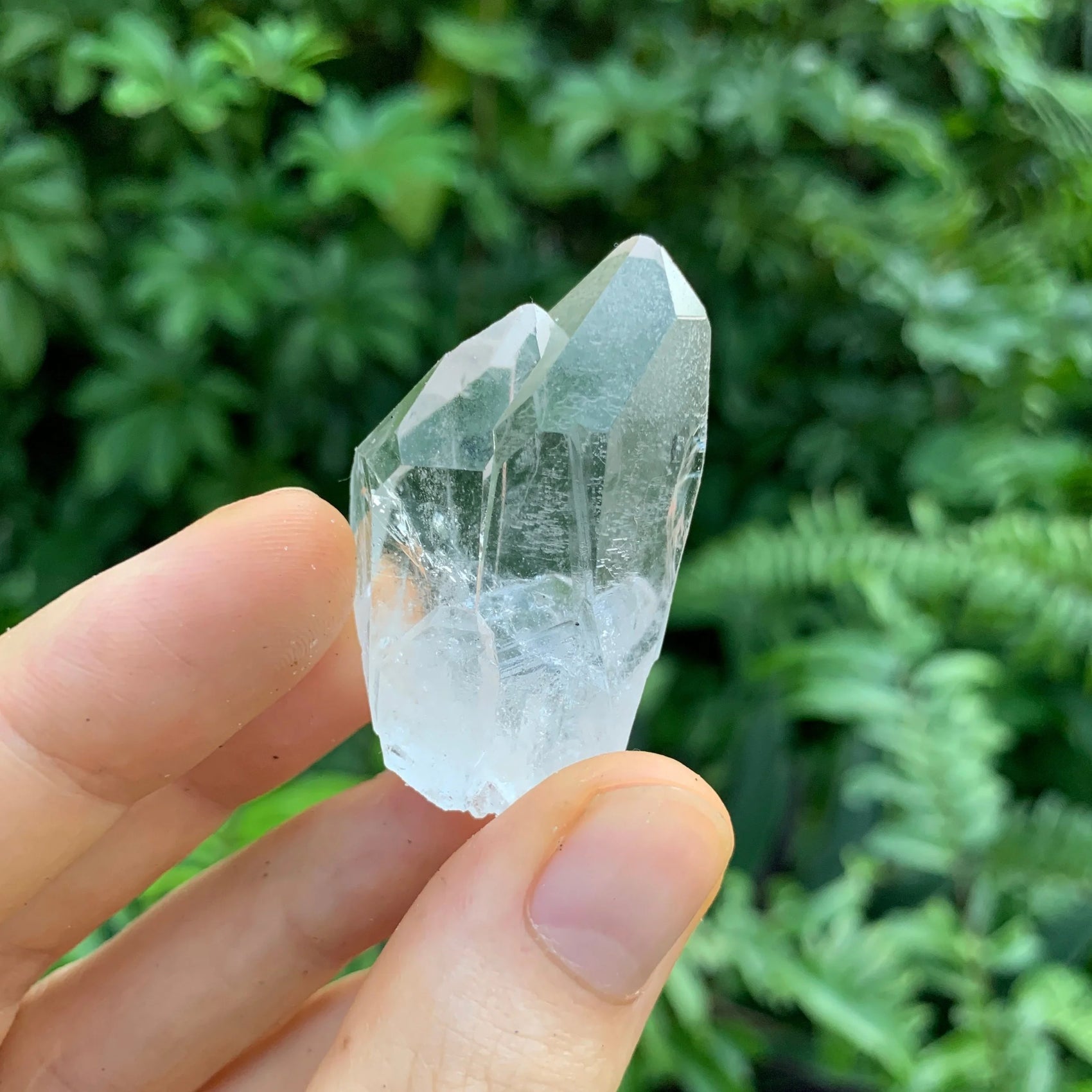 Detail shot of Grade AA Clear Quartz point under natural light