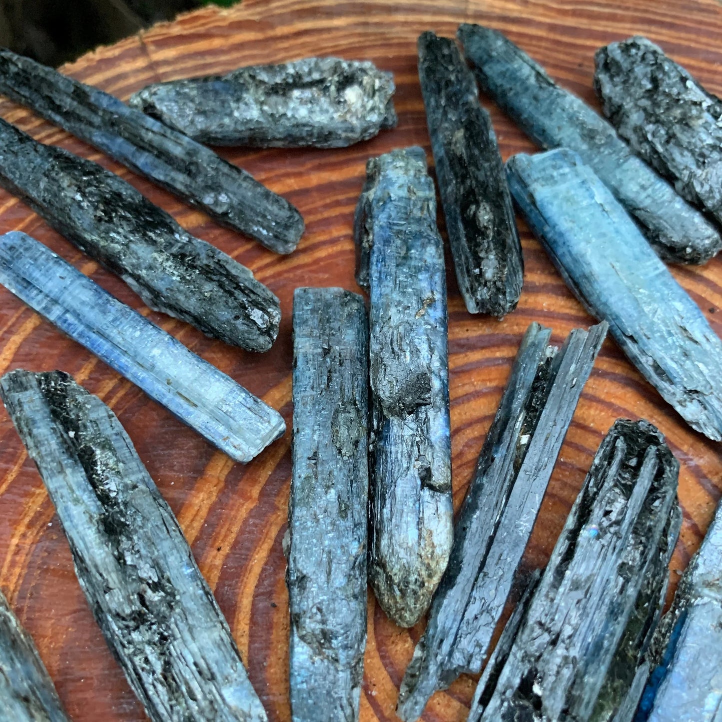 Full profile of Grade AA Blue Kyanite raw ready to ship from Beyond Bohemian