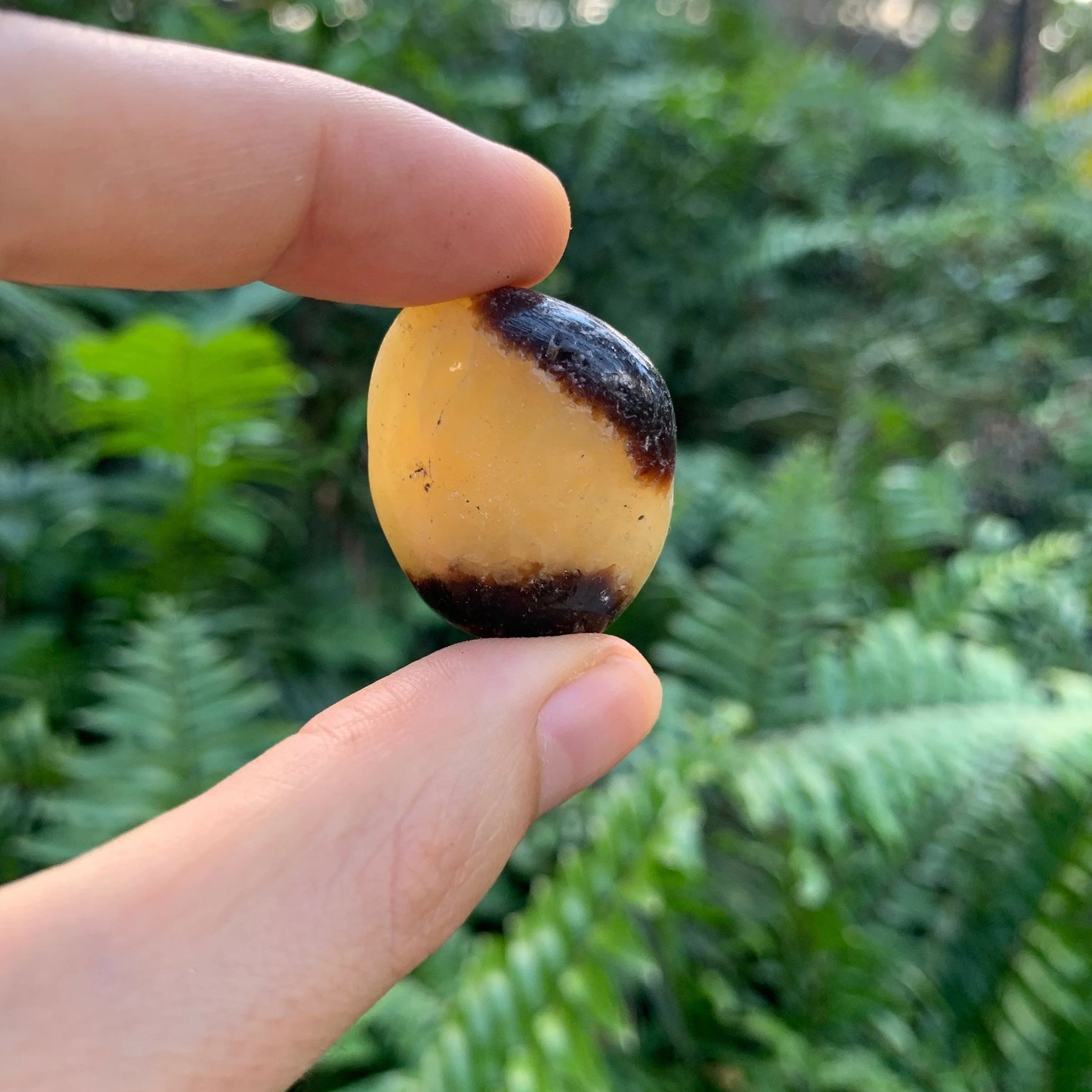 Edge view of Grade AA Septarian tumbled stone, showing natural sheen.