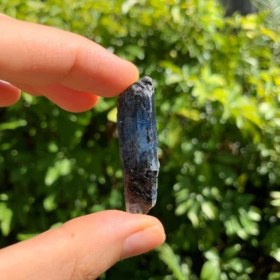 Grade aa blue kyanite raw held in hand for size reference