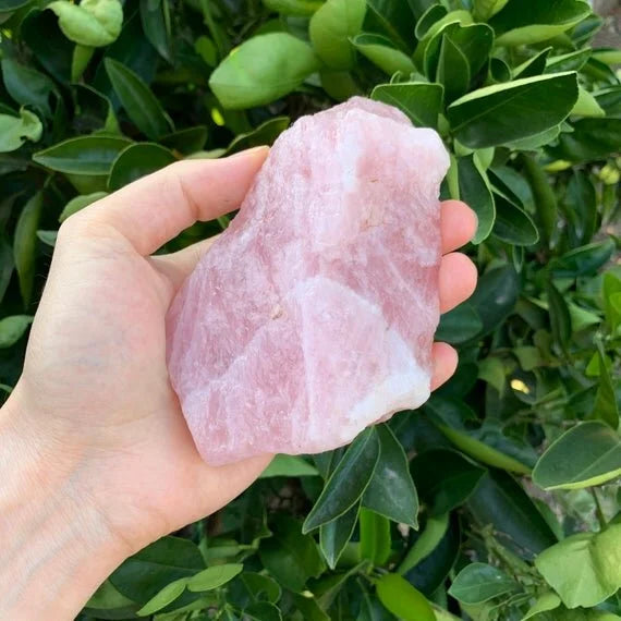 Back view of Grade AAA Rose Quartz raw showing natural surface