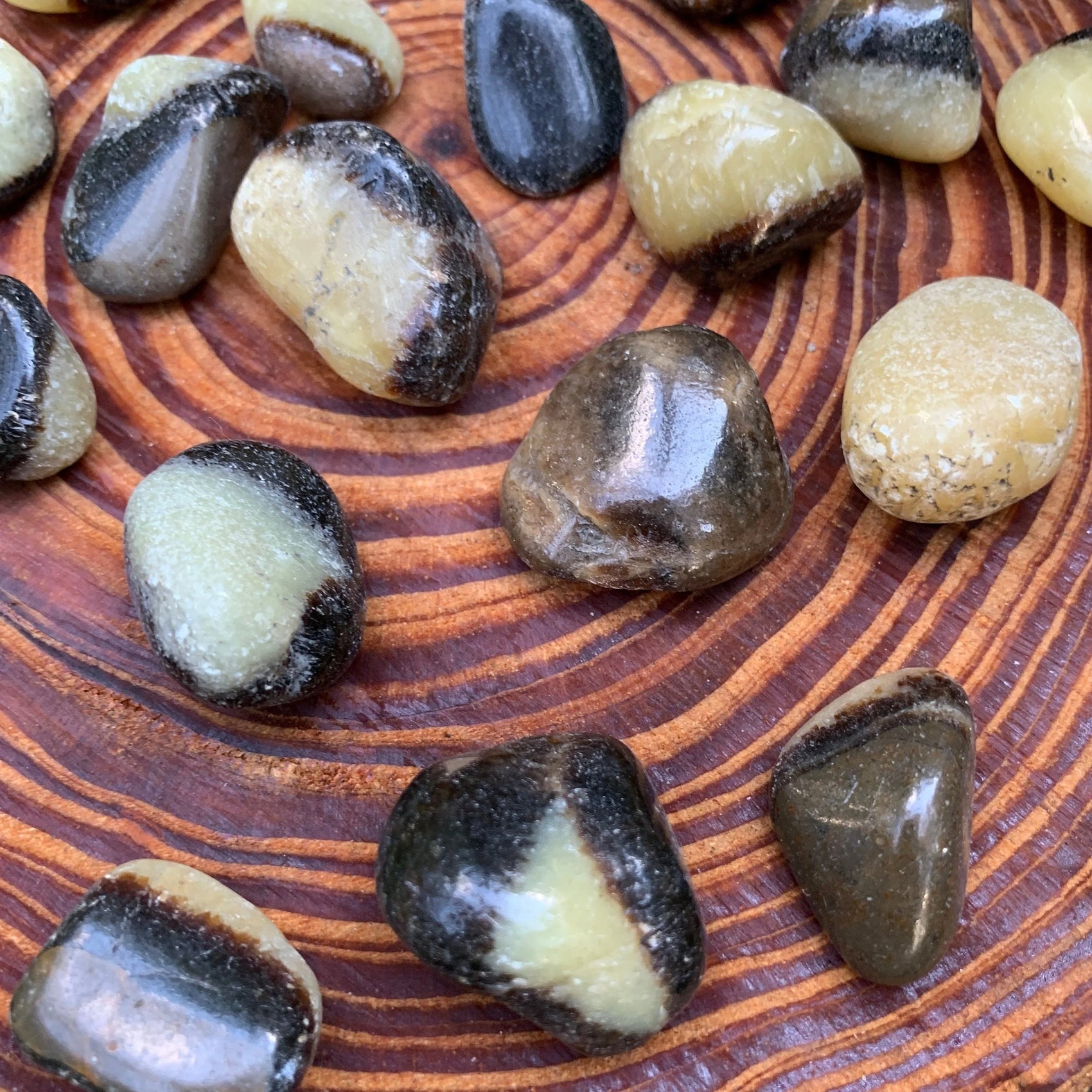Alternate side of Septarian tumbled stone, showing subtle veining.