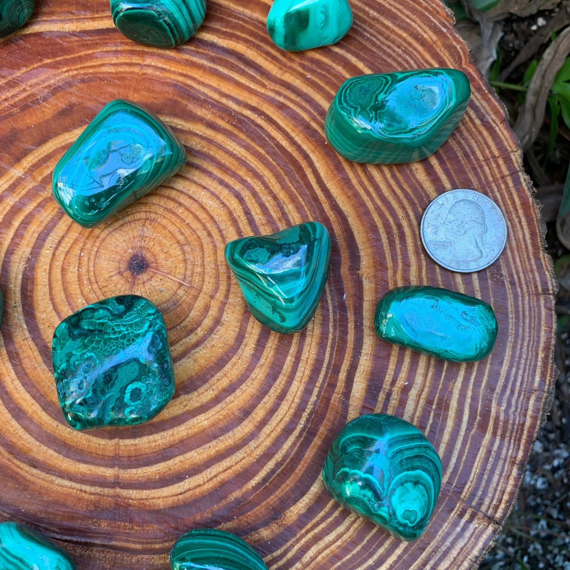 Full profile of Grade AA Malachite tumbled stone ready to ship from Beyond Bohemian