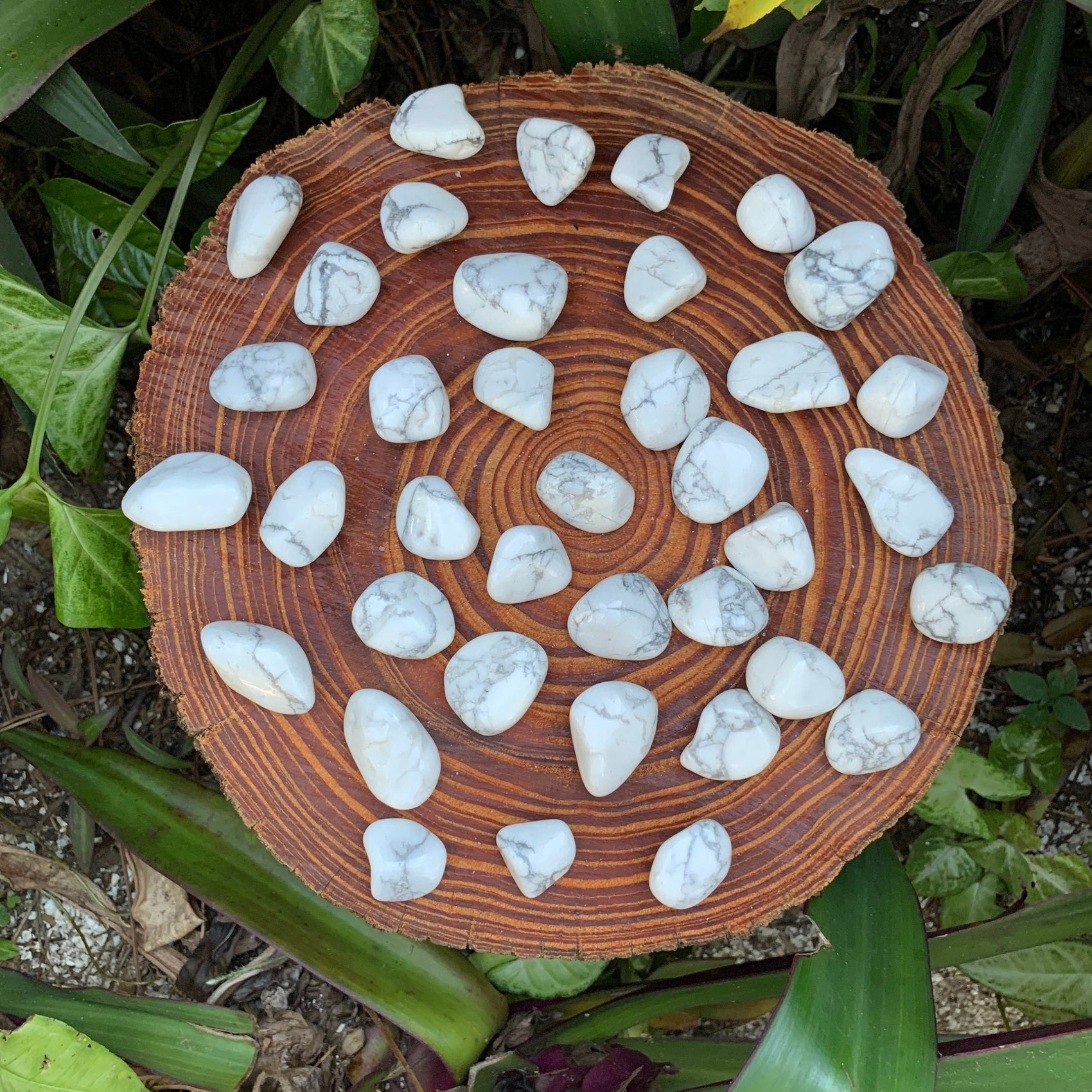 Full profile of Grade AA Howlite tumbled stone ready to ship from Beyond Bohemian