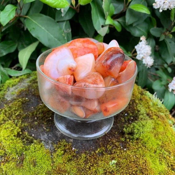 Full profile of Grade AA Carnelian tumbled stone ready to ship from Beyond Bohemian