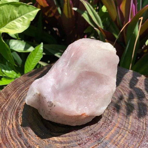 Detail shot of Grade AA Rose Quartz specimen under natural light