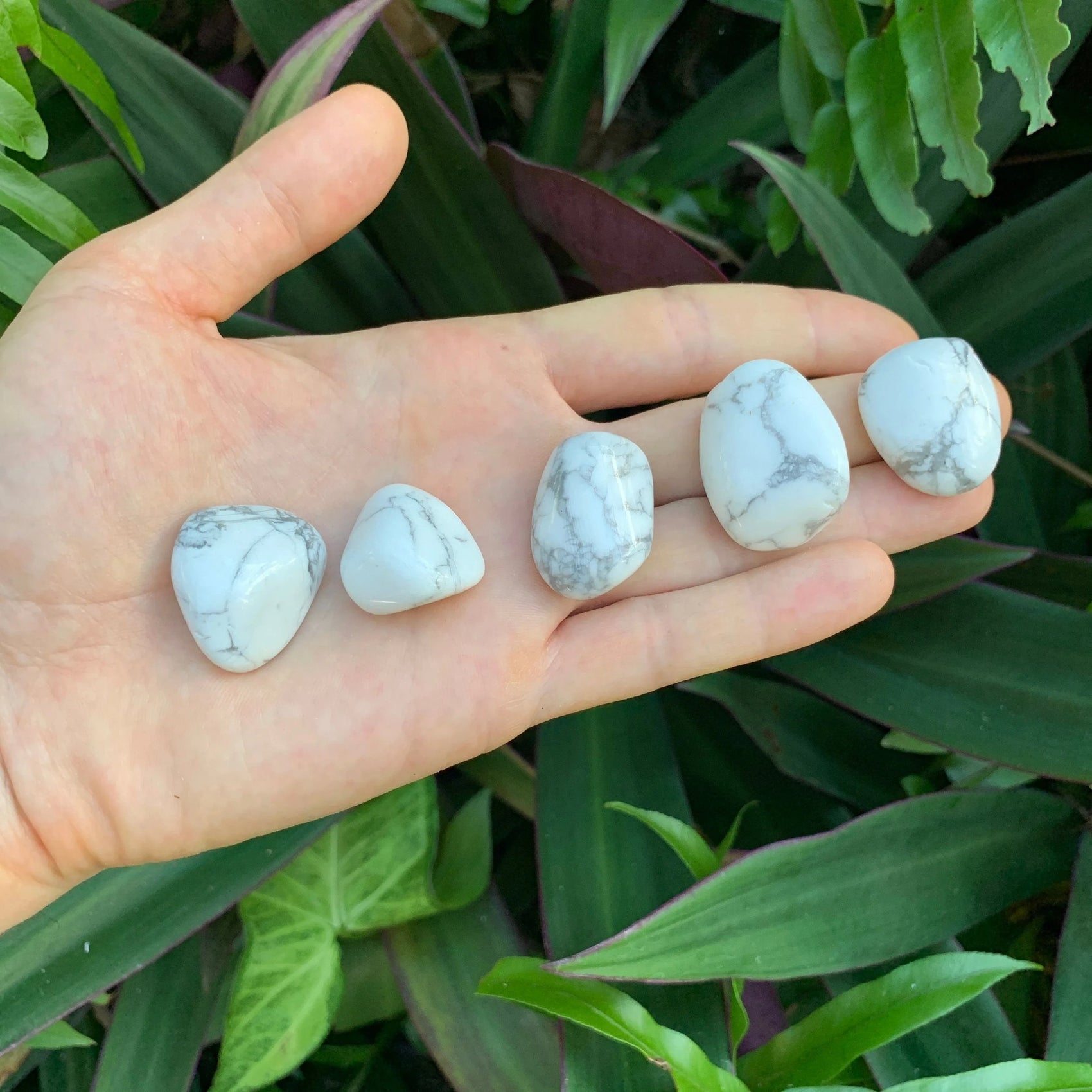 Full profile of Grade AA Howlite tumbled stone ready to ship from Beyond Bohemian