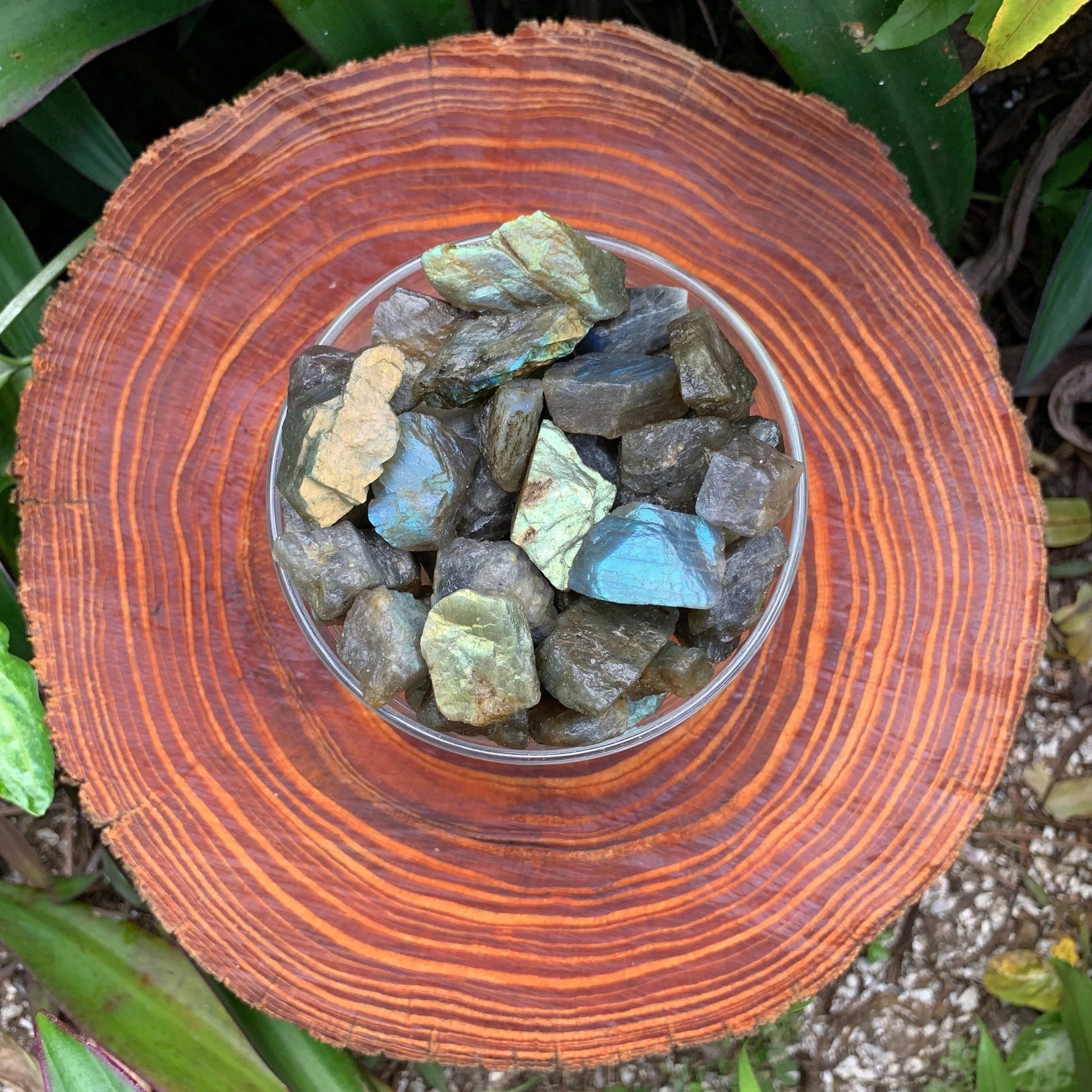 Grade aa labradorite raw held in hand for size reference
