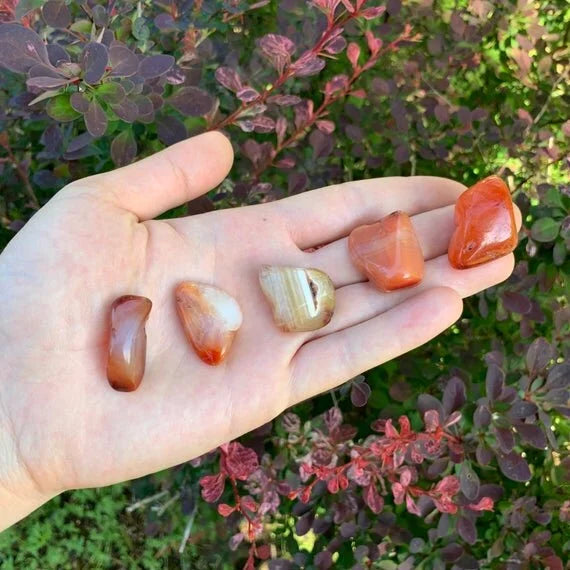 Full profile of Grade AA Carnelian tumbled stone ready to ship from Beyond Bohemian