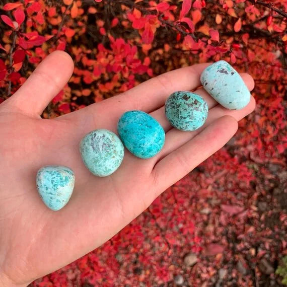 Full profile of Grade A Chrysocolla tumbled stone ready to ship from Beyond Bohemian