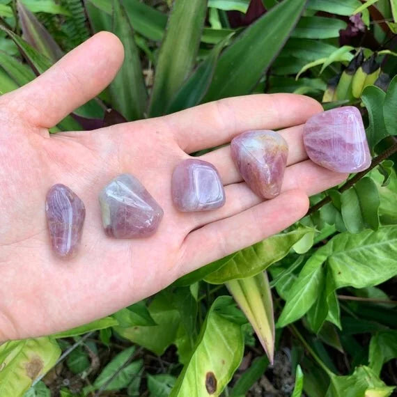 Scale reference of a Blue Rose Quartz tumbled stone held against natural backdrop, from Alaotra-Mangoro, Madagascar.