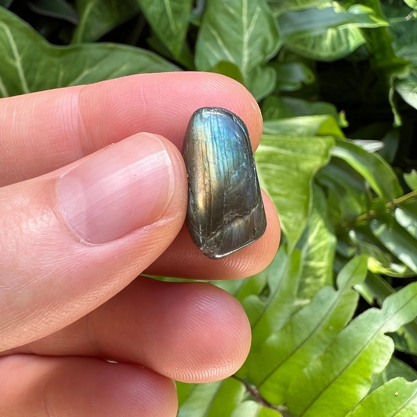 Underside view of Grade AA Labradorite tumbled stone, showing translucent edges.