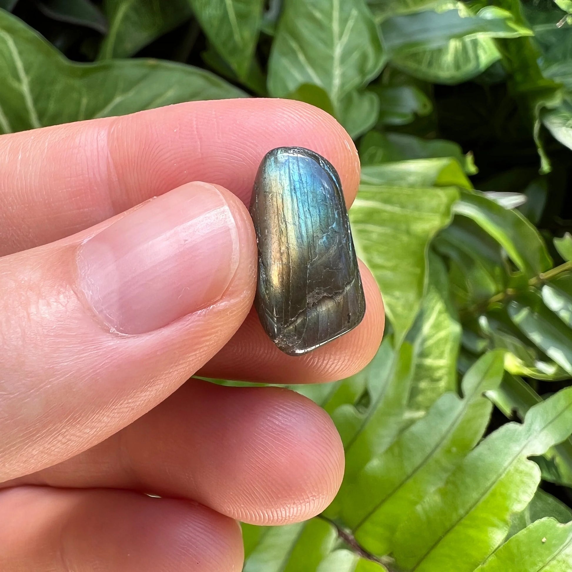 Underside view of Grade AA Labradorite tumbled stone, showing translucent edges.