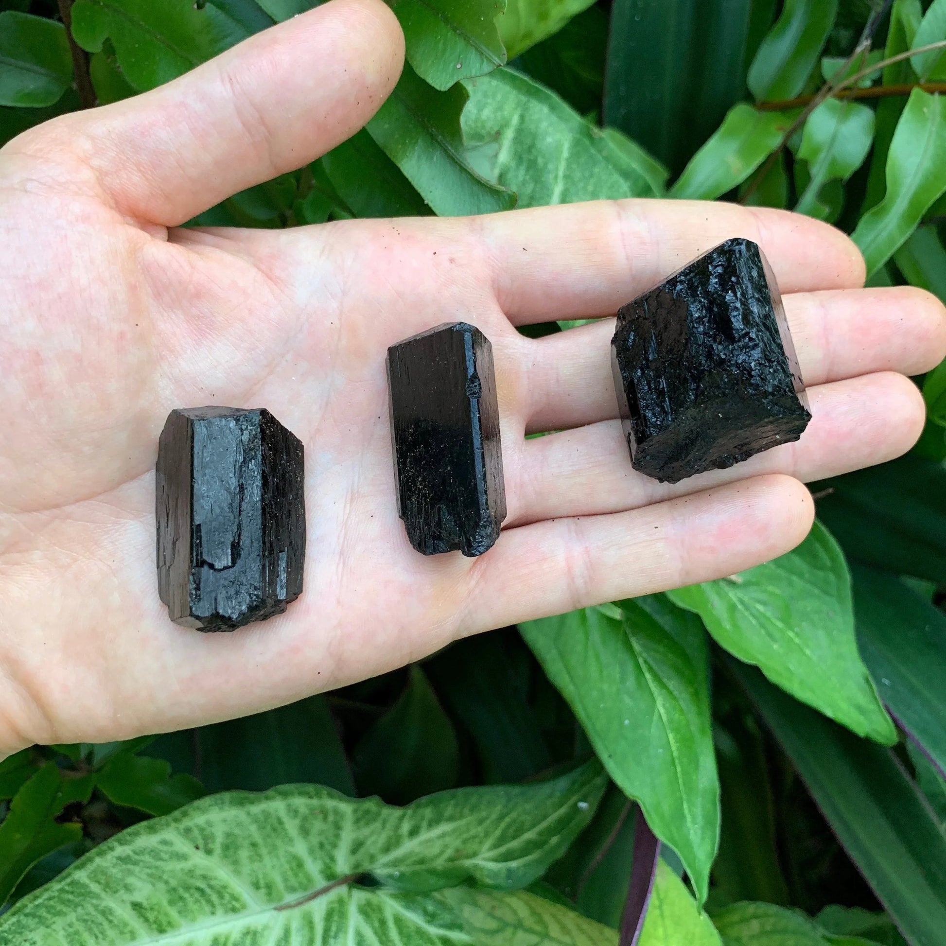 Full profile of Grade AA Black Tourmaline raw ready to ship from Beyond Bohemian
