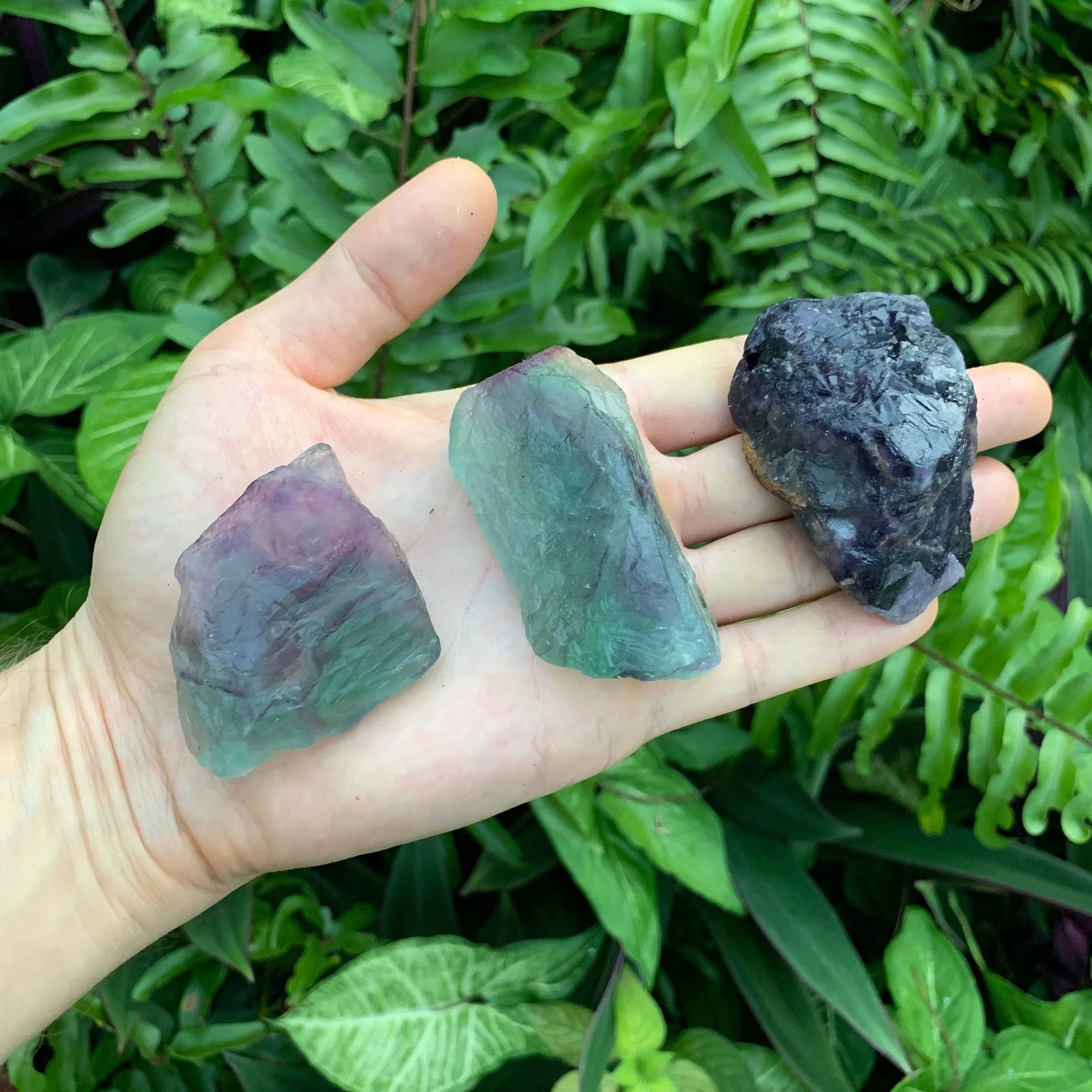 Grade aa fluorite raw held in hand for size reference
