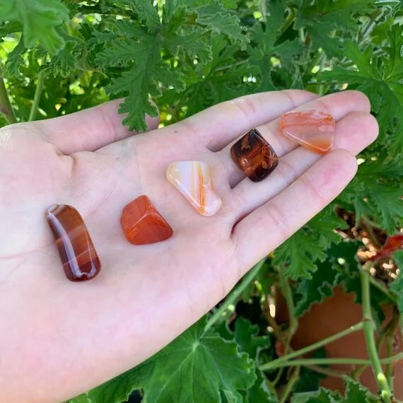 Full profile of Grade AA Carnelian tumbled stone ready to ship from Beyond Bohemian