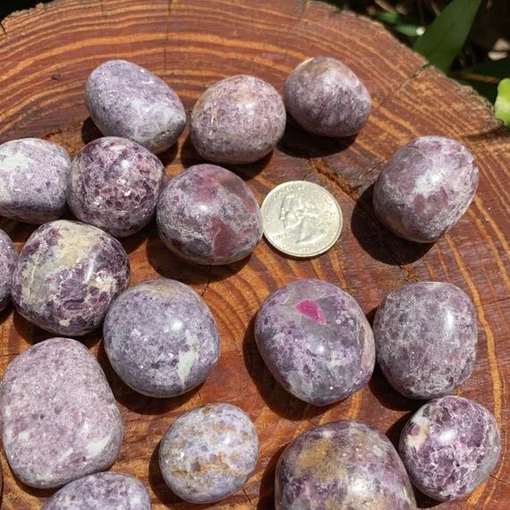Full profile of Grade AA Lepidolite tumbled stone ready to ship from Beyond Bohemian