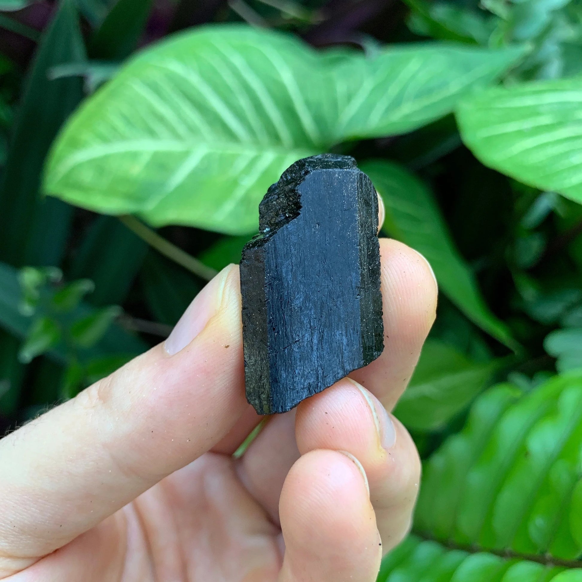 Base detail of Grade AA Black Tourmaline raw
