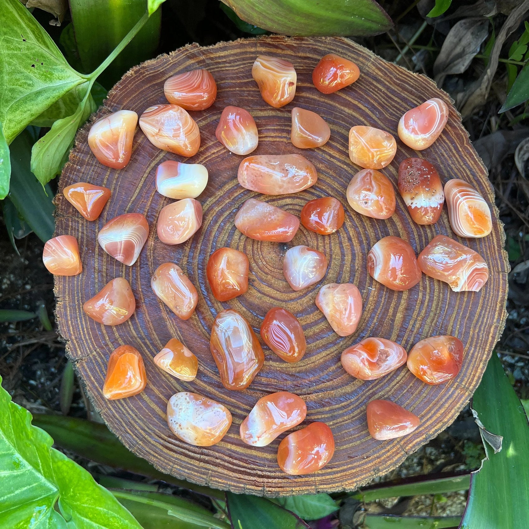Detail of Carnelian tumbled stone, showing soft luster, from Francistown, Botswana.