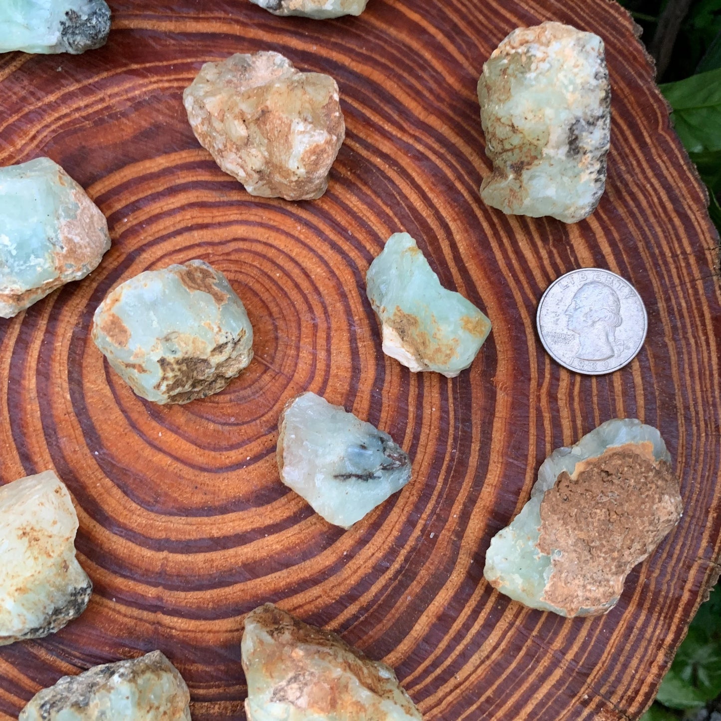 Soft-light view of Prehnite raw crystal, set against a soft neutral surface.