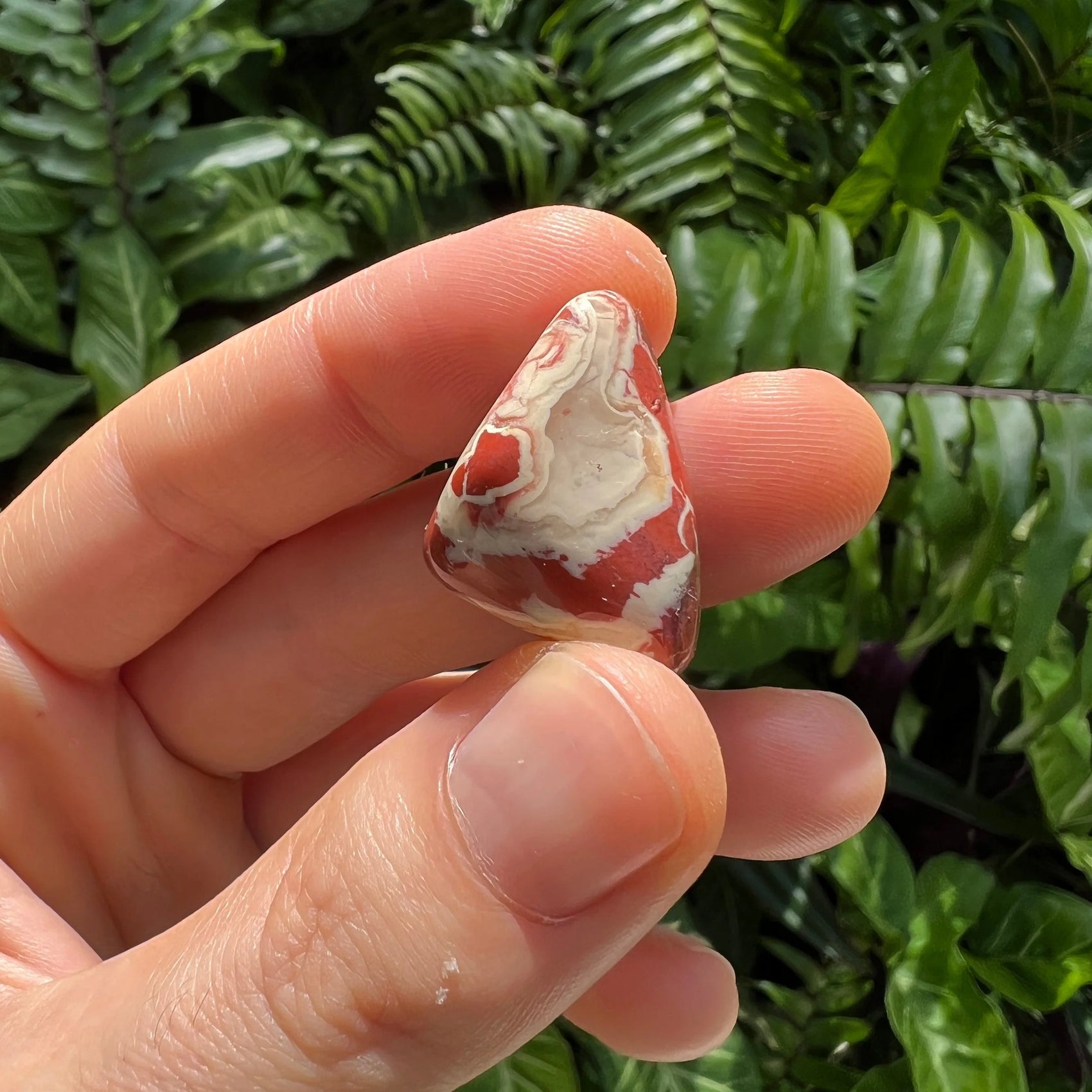 Bottom side of Grade AA Red Jasper tumbled stone, often kept for Grounding, from South Africa.