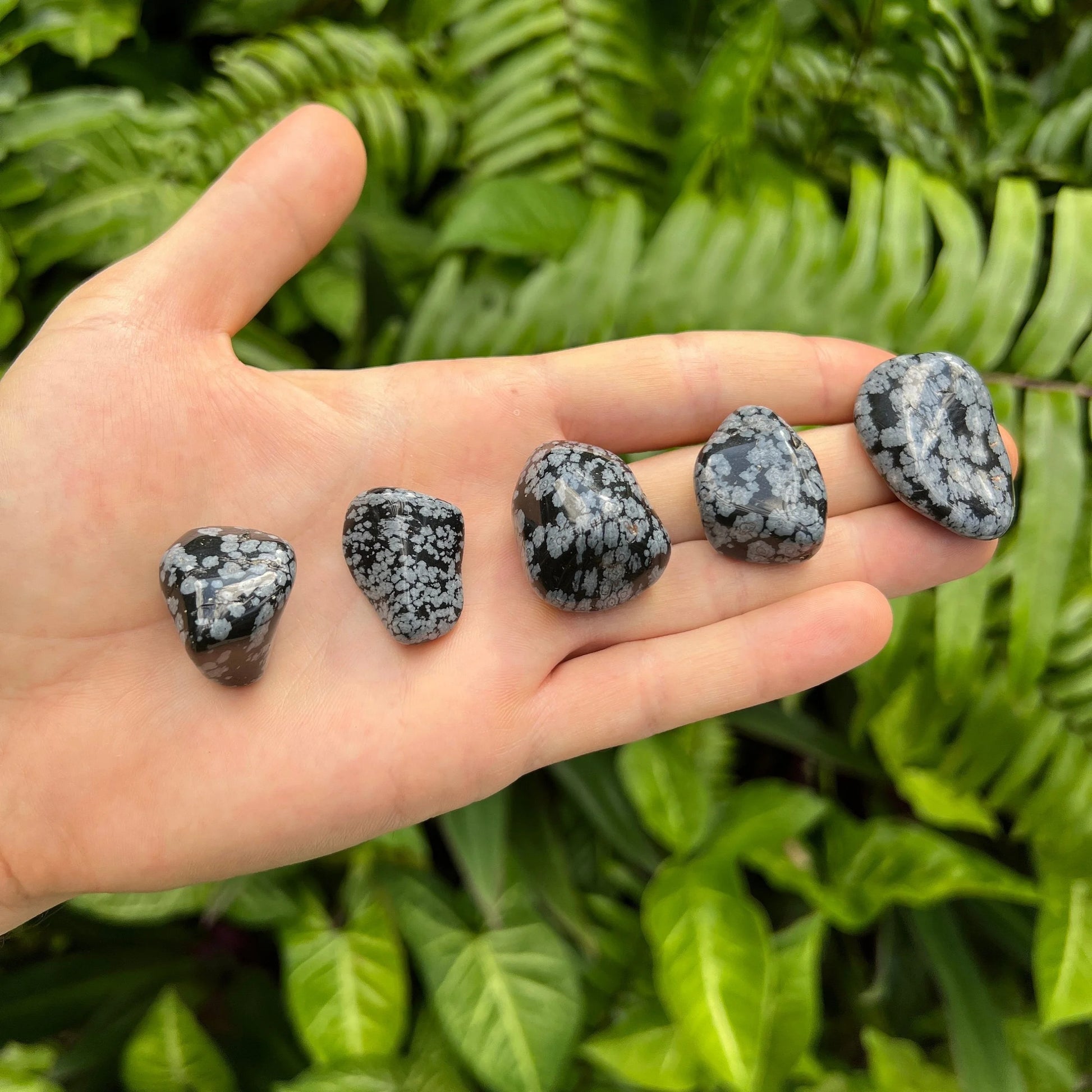 Detail shot of Grade AA Snowflake Obsidian tumbled stone under natural light