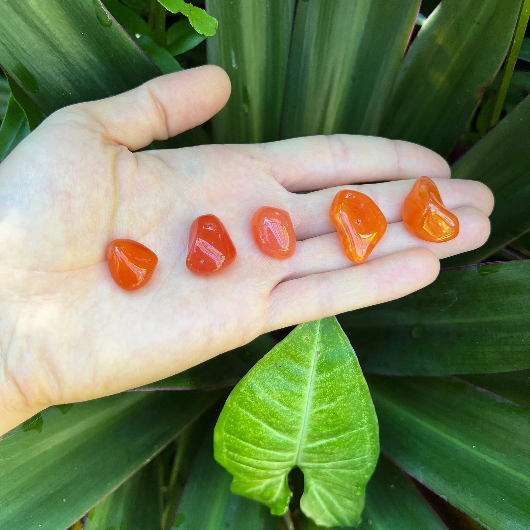 Full profile of Grade AA Carnelian tumbled stone ready to ship from Beyond Bohemian