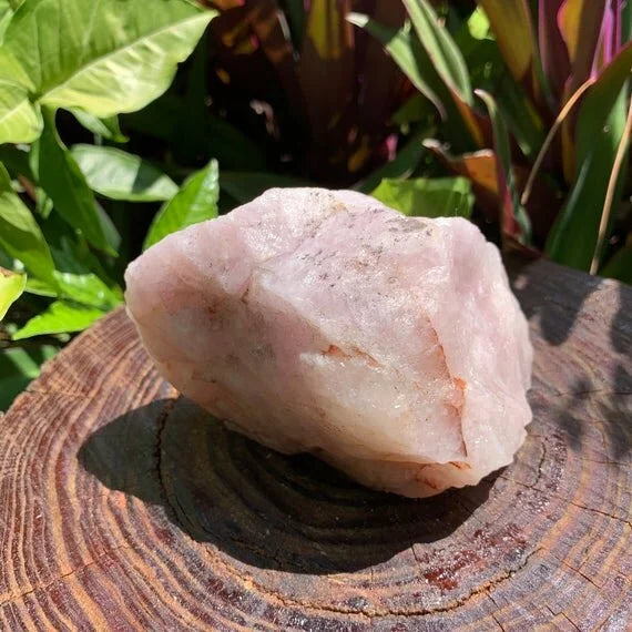 Full profile of Grade AA Rose Quartz specimen ready to ship from Beyond Bohemian