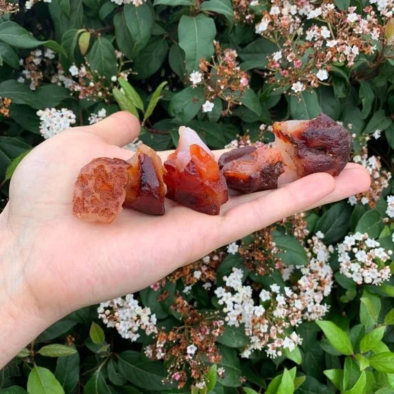 Close-up of Carnelian raw stone from Madagascar, soothing wellness stone for Confidence