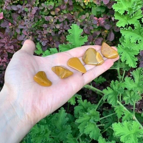Tabletop view of Yellow Jasper tumbled stone, from Sofia, Madagascar, traditionally used for Confidence, with weight visible in the palm.