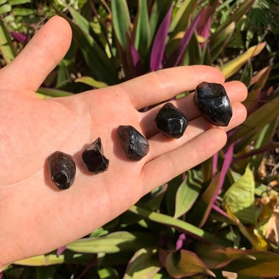 Hand-held view of one Apache Tear raw stone for scale, from Arizona, United States.