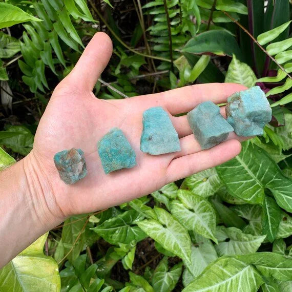 Grade aa amazonite raw held in hand for size reference