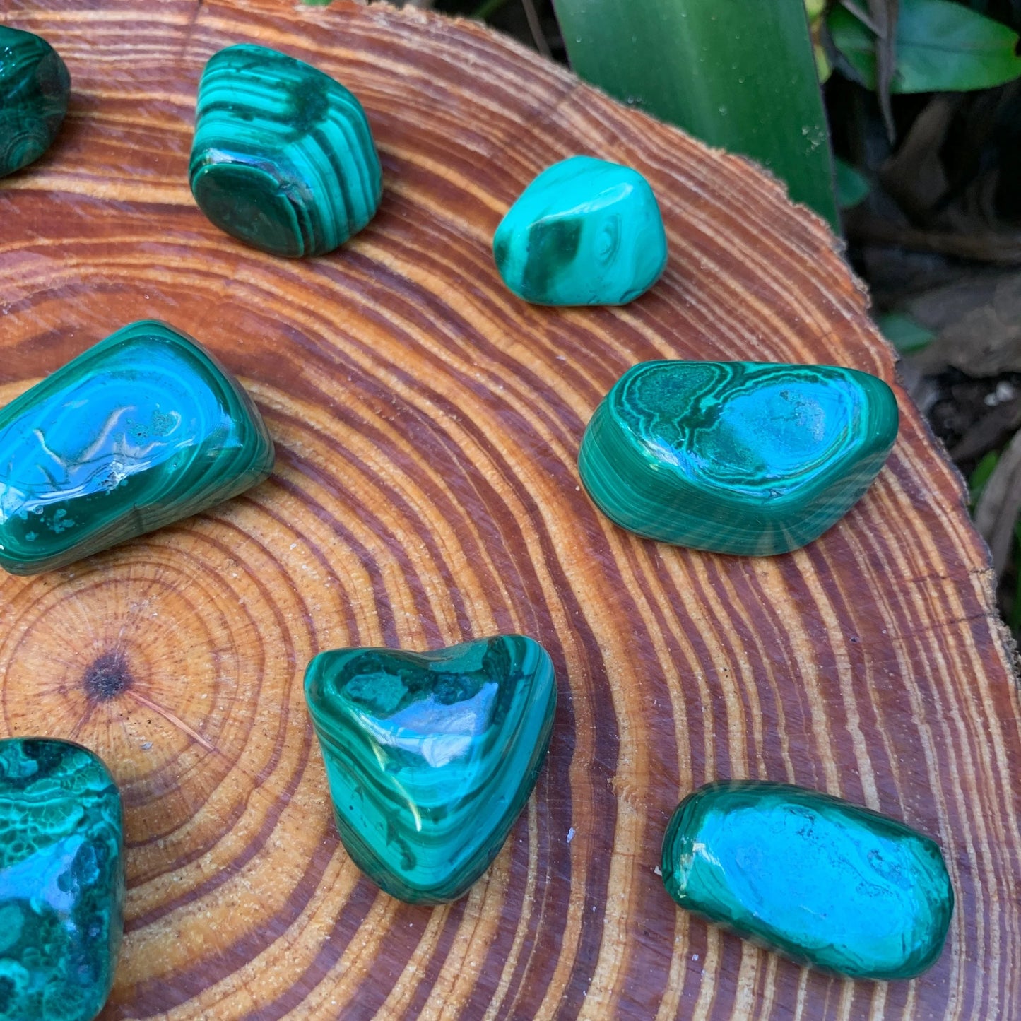 Full profile of Grade AA Malachite tumbled stone ready to ship from Beyond Bohemian