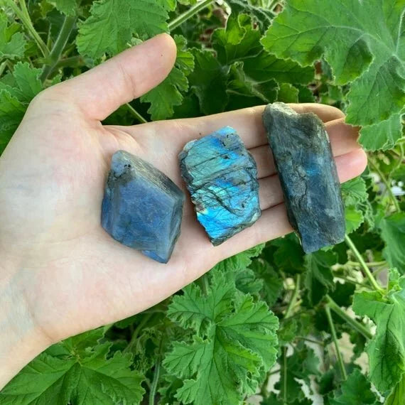 Held in hand, one Labradorite raw stone for scale, from Madagascar.