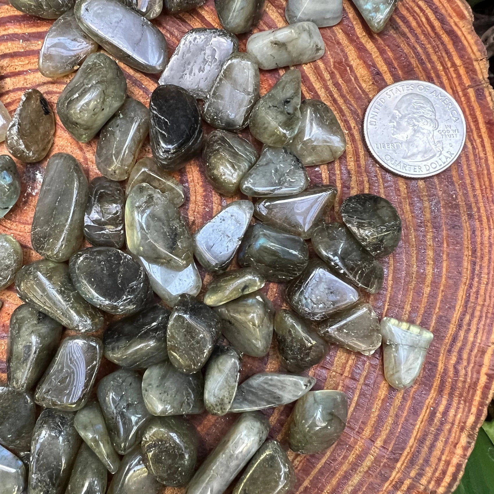 Sideways view of Labradorite tumbled stone, showing characteristic finish, turned to for Intuition.