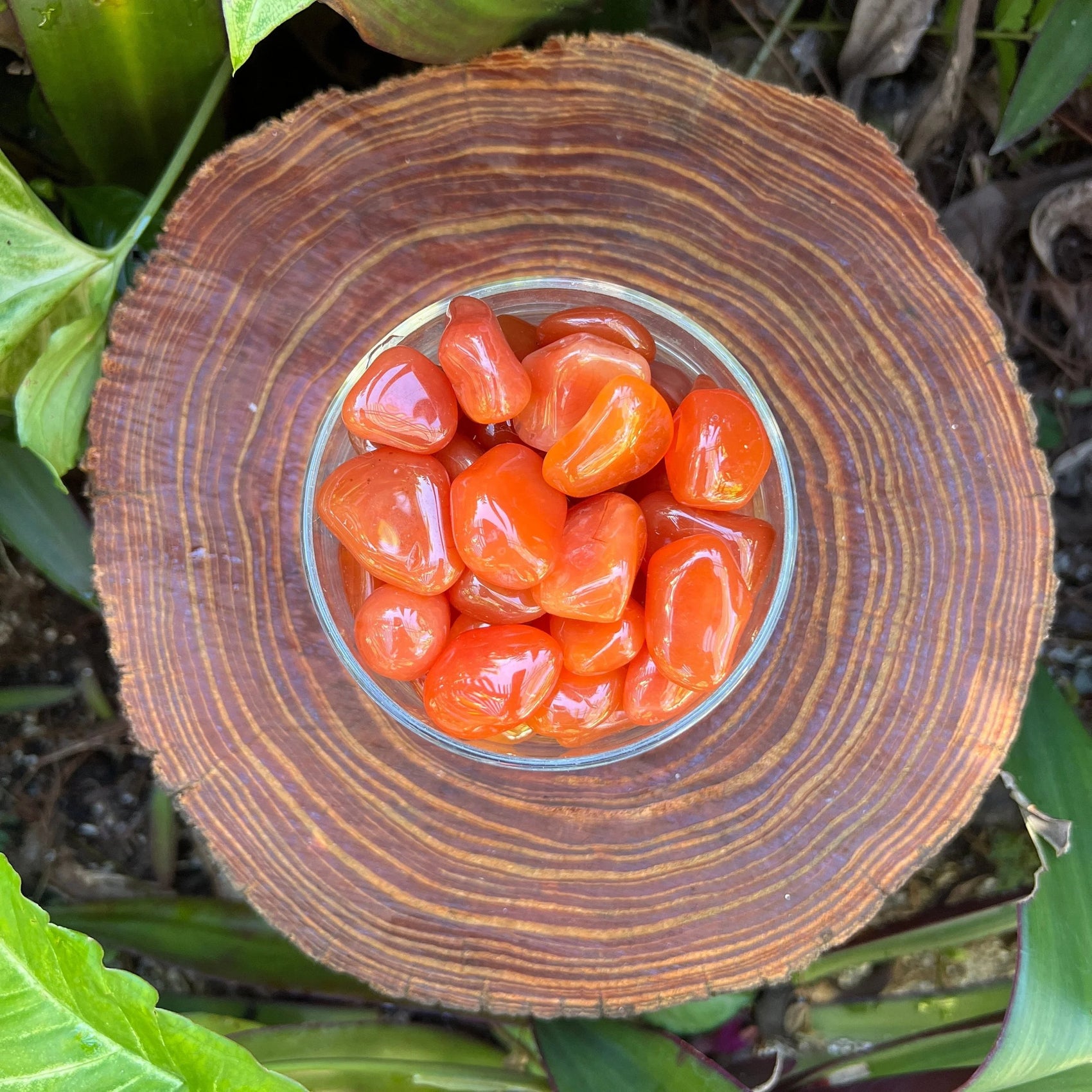 Natural light view of a Carnelian tumbled stone, hand-selected from Francistown, Botswana.