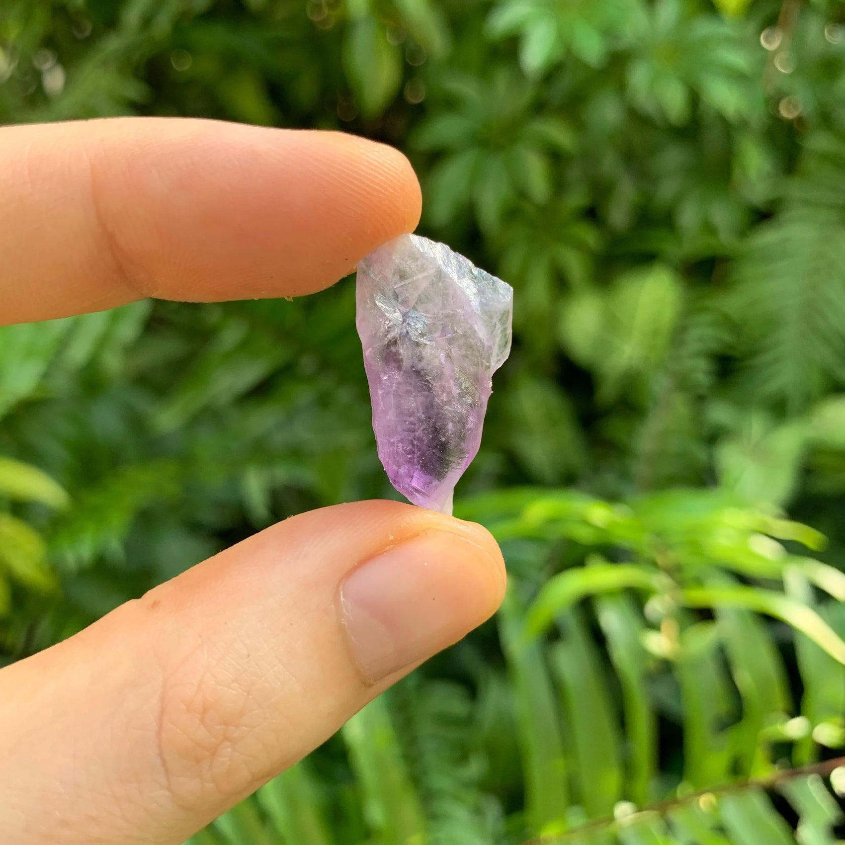 Lifestyle view of a Amethyst raw stone held against natural backdrop.