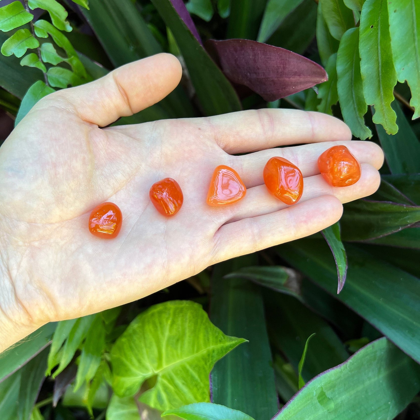 Full profile of Grade AA Carnelian tumbled stone ready to ship from Beyond Bohemian