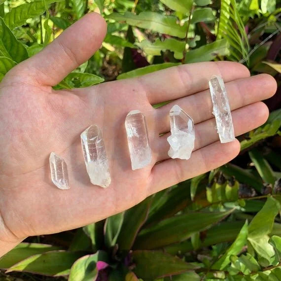 Side profile of clear Lemurian Quartz raw point, Colombia-sourced, showing natural variation.