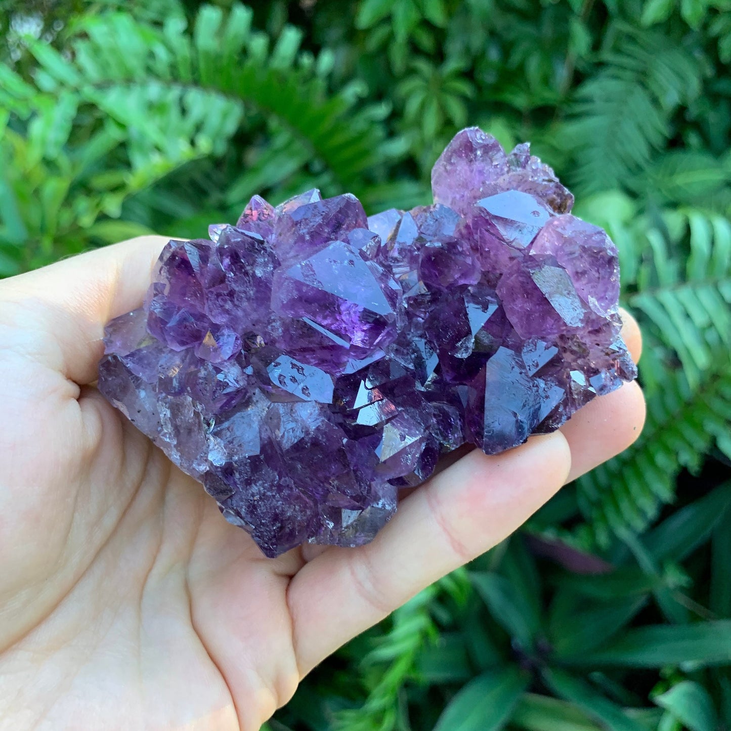 Lifestyle still of Amethyst specimen, from Rio Grande do Sul, Brazil, often kept for Intuition, showing the full body of the piece.