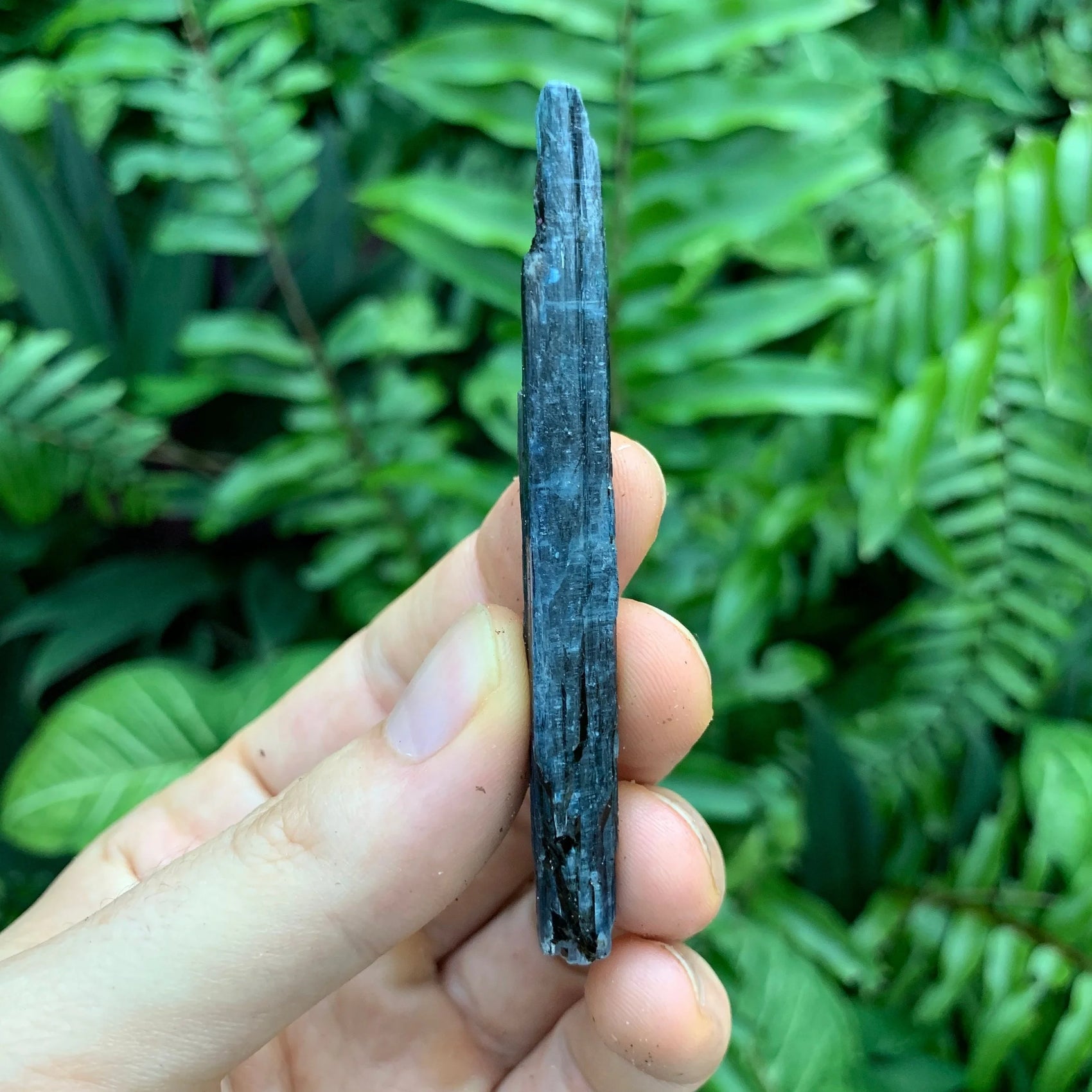 Full profile of Grade AA Blue Kyanite raw ready to ship from Beyond Bohemian
