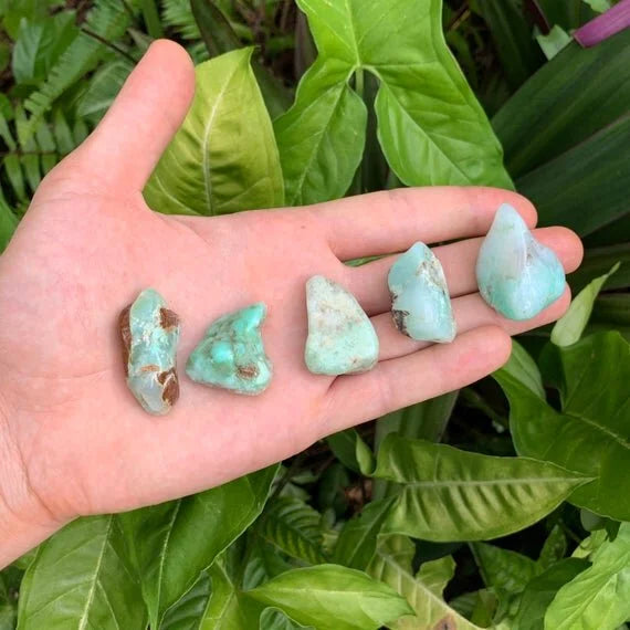 Back view of Grade A Chrysoprase tumbled stone showing natural surface