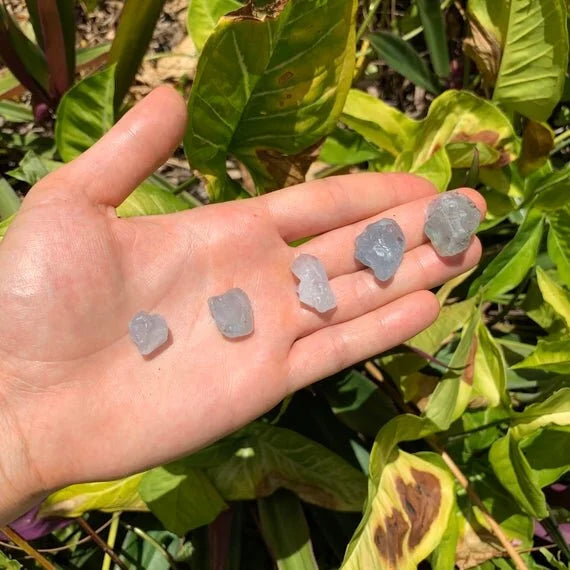 Held against neutral backdrop is a Celestite raw crystal, from Sakoany, Madagascar, shown for shape and scale.