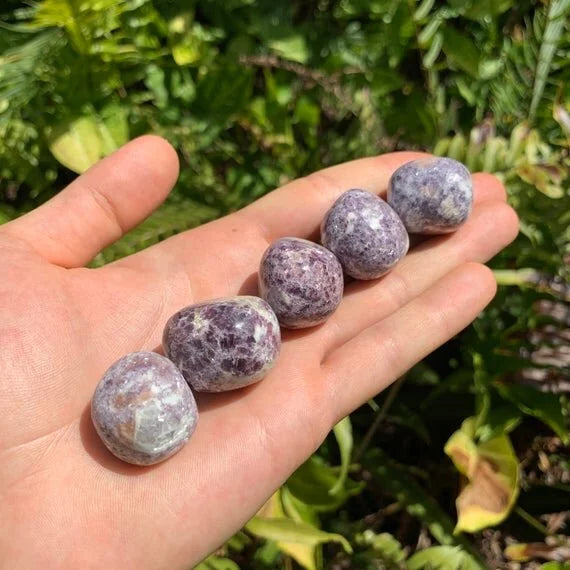 Detail shot of Grade AA Lepidolite tumbled stone under natural light