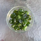 Full profile of Grade AA Peridot tumbled stone ready to ship from Beyond Bohemian